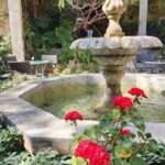 “I always enjoy coming here” – New Review for Casa de La Noche